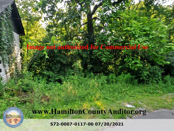 Photo 07/20/2021